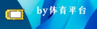 使用指南与常见问题